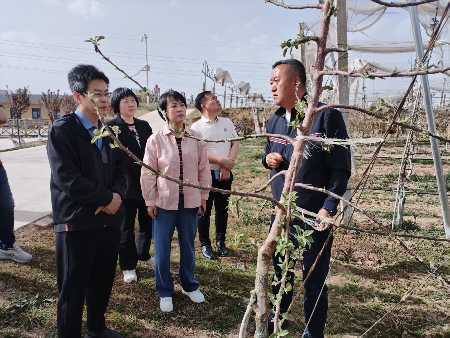 2025年4月16日銅川市供銷(xiāo)合作社王婧副主任與”鮮豐匯“、華東農(nóng)產(chǎn)品交易中